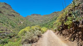 2023-04-GranCan-Guayadeque-094.jpg